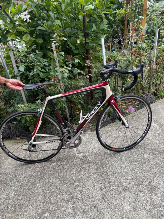 Cursiere carbon (focus, felt , scott , eddy merckx)