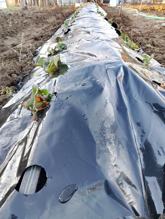 Автоматизирани поливни системи  безплатен оглед.