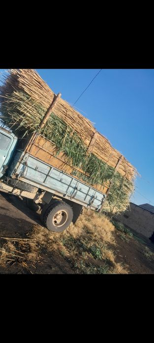 Камыс ши маты бар