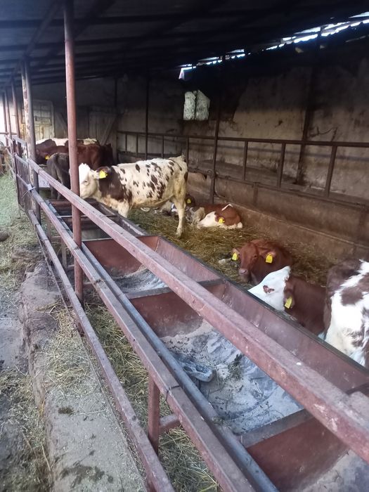 Продава ферма / Замеделски имот..