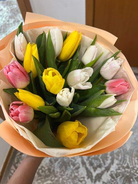 13 тюльпанов свежие