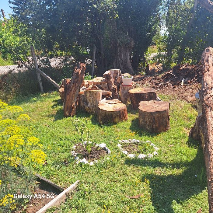 Пънчета за градина