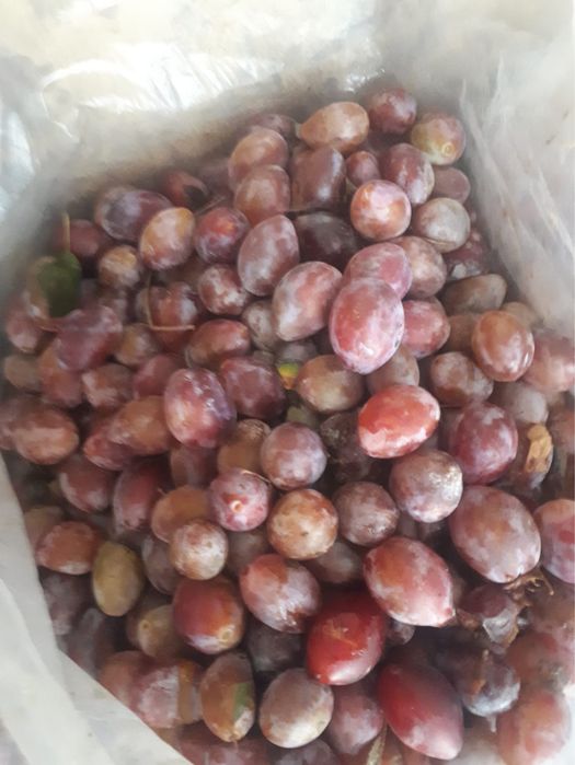Vand prune pentru tuica