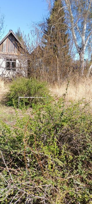 Дача Нефтяник 4 сотки