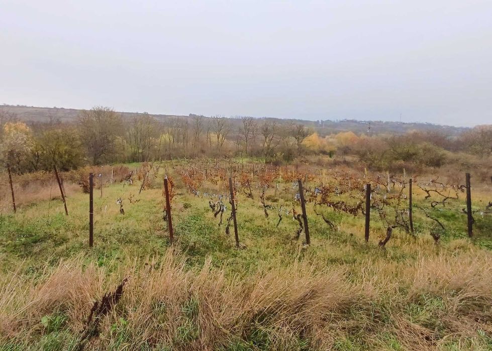 Vand casa + teren 5300mp intravilan si 7300mp extravilan