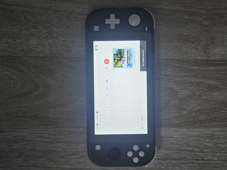 Vand nintendo switch lite