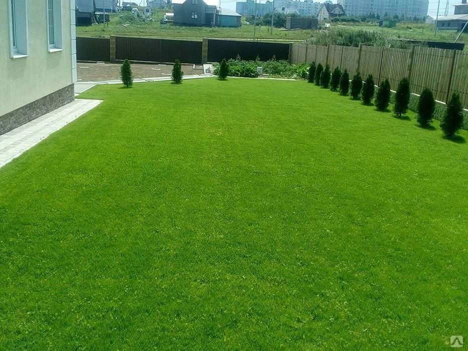 Газон !!! Оптовые цены с гарантией и качеством