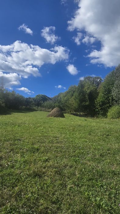 Loturi teren Poiana Campina, 30eur/mp,apa,curent,gata pentru construir