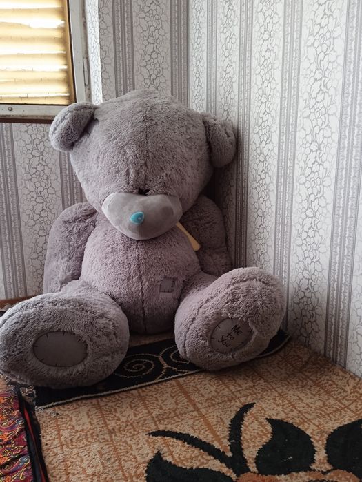 Oyinchoq tedi sotiladi yangi 1 oy boldi olinganiga boyi 160 yoki 165