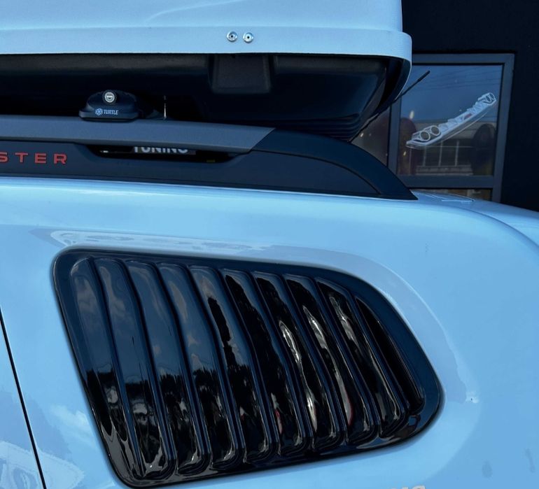 Ornamente / Protecții Geam Spate Dacia Duster 2