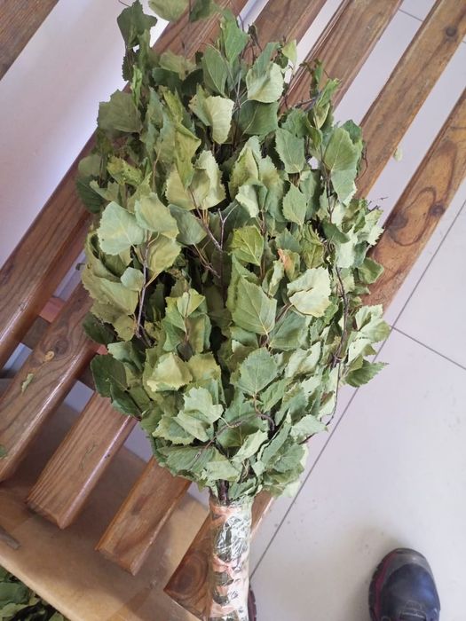 Берёзовые веники