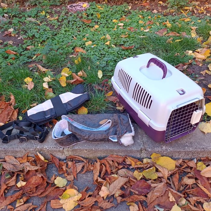 Pachet cusca, haine catei talie mica sau pisica