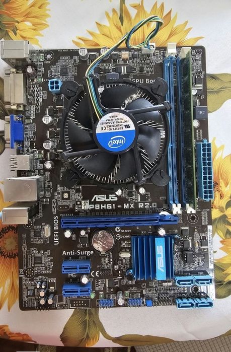 Placa de baza asus