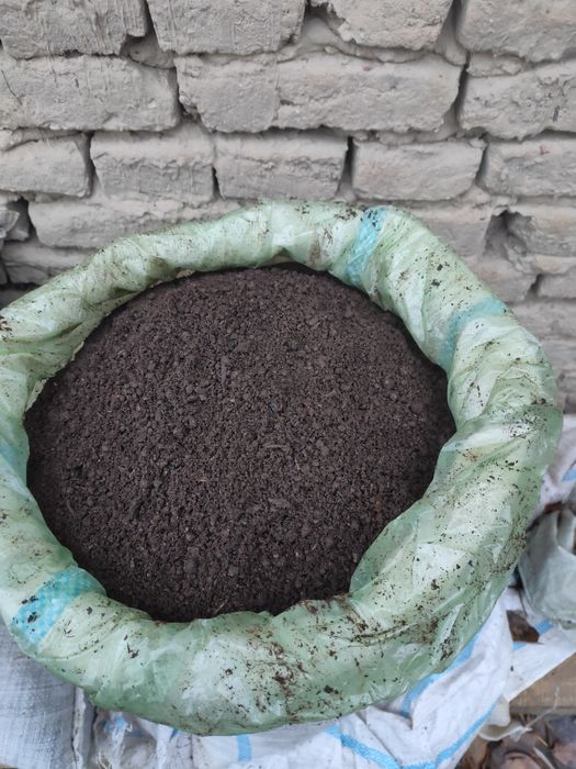 Сифатли биогумус сотилади