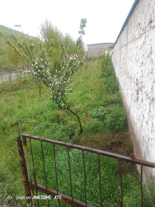 Yer maydoni sotiladi