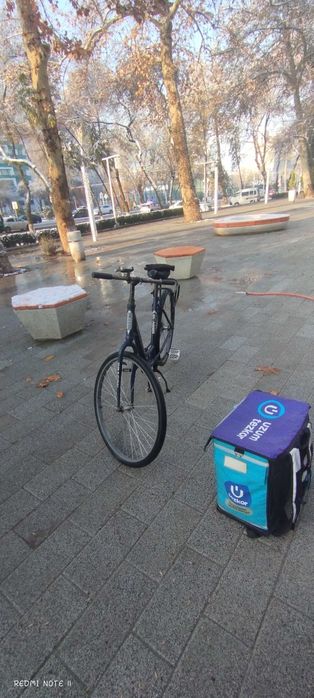 Velosiped germaniski