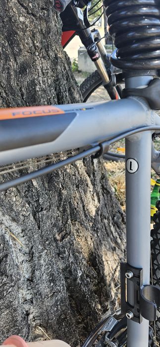 Bicicleta Focus Whistler