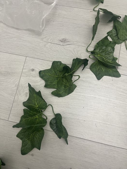 Декоративные листья лианы