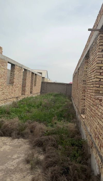 Янги шойхужа 6,сотих участка