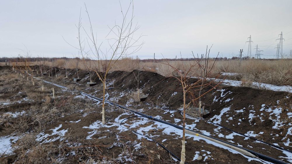 Крестьянское хозяйство