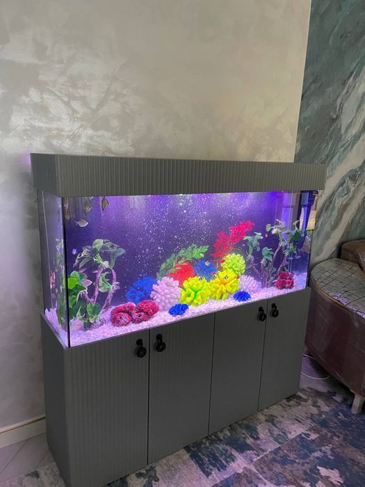 Akvarium zakas asosida tayyorlab beramiza