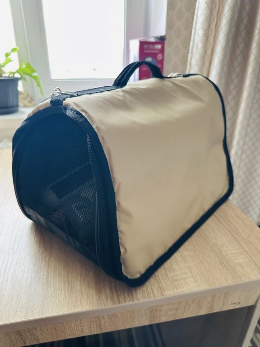 Продам шотландского котенка