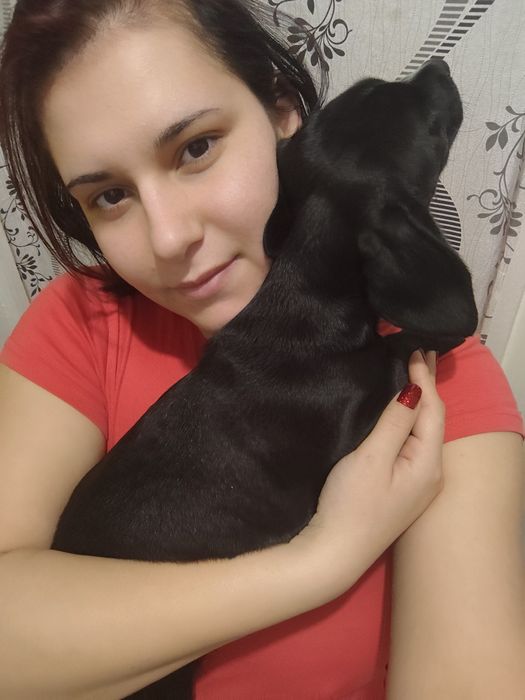 Подарявам кученце