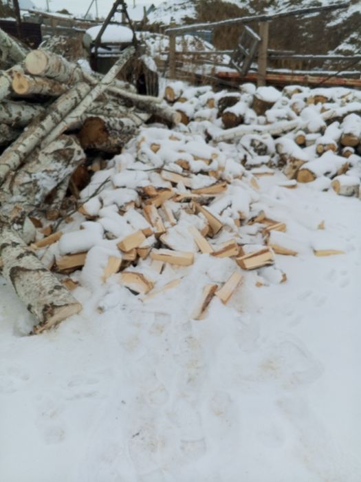 "Берёза"Дрова чуркованые