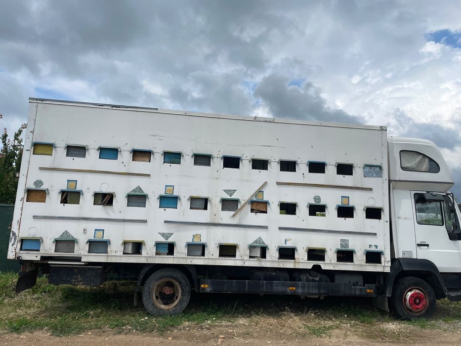 camion stupi  MAN TGL 8.180