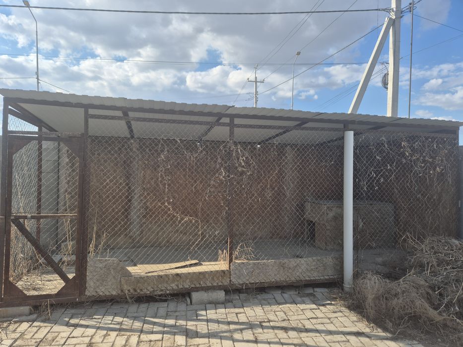 Вольер для собак