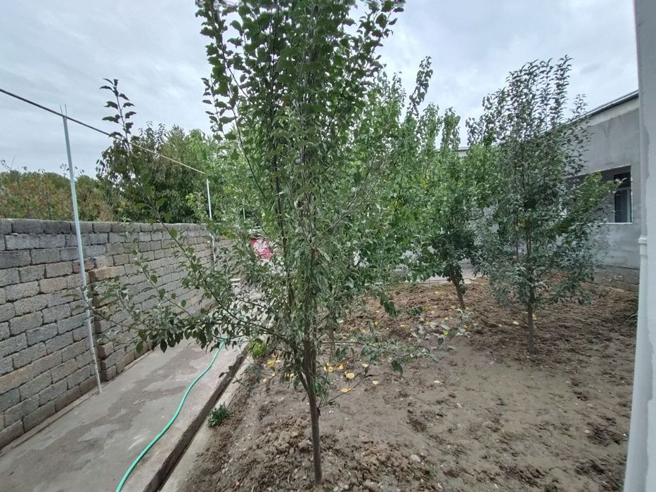 Ховли сотилади 4 сотих Тошкент тумани Куктеракда