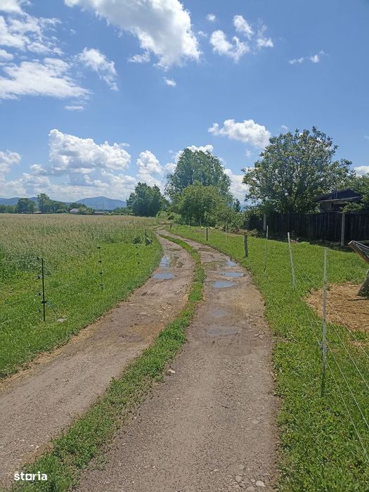 De vânzare teren extravilan în Sfântu Gheorghe