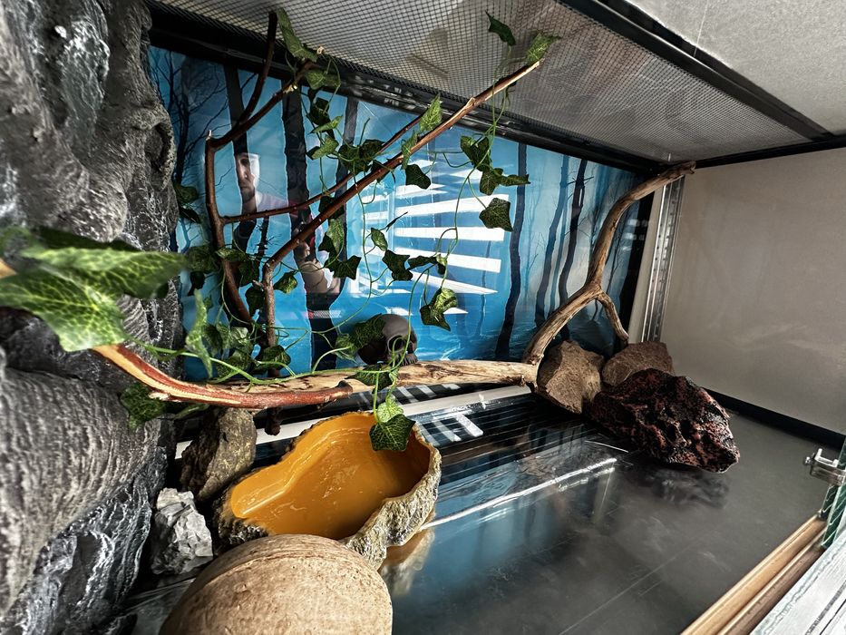 Террариум для рептилий