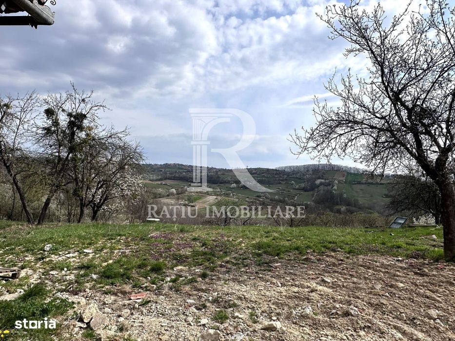 Casa cu livada | teren 2800 mp | Stracos | Bihor