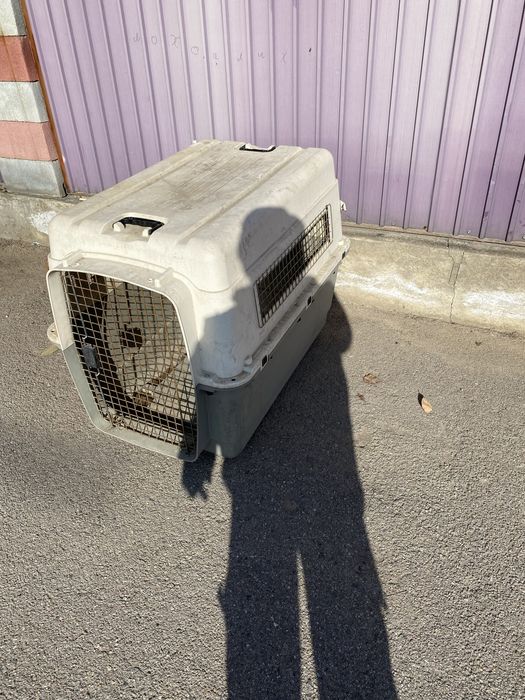 Бокс перевозка для крупных собак