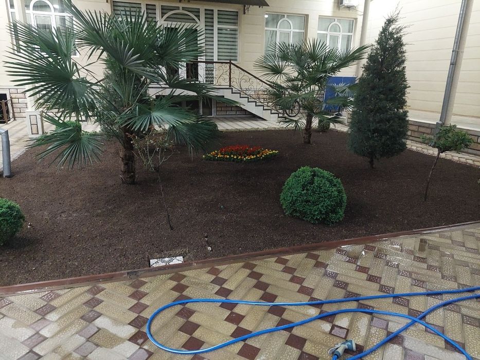 Gazon ekish,gullar ekish,bog' tomorqa ishlari