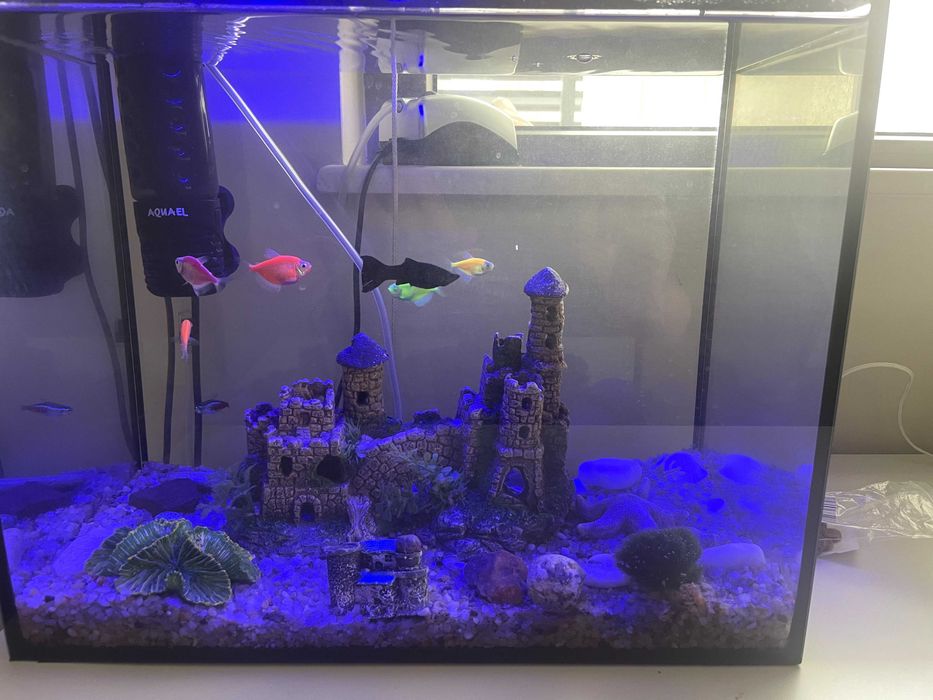 Продавам 40-литров аквариум „Aquael“.