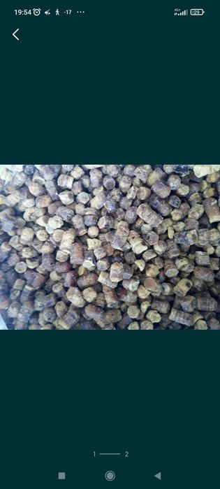 Прополис пчелинный