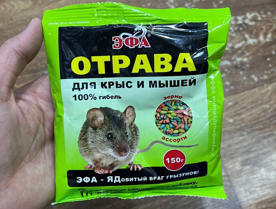 Klapa uchun porowokli dori, sichqon dori