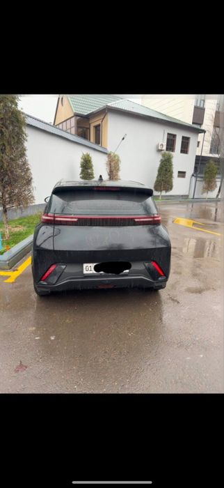 Byd sygull qora rang