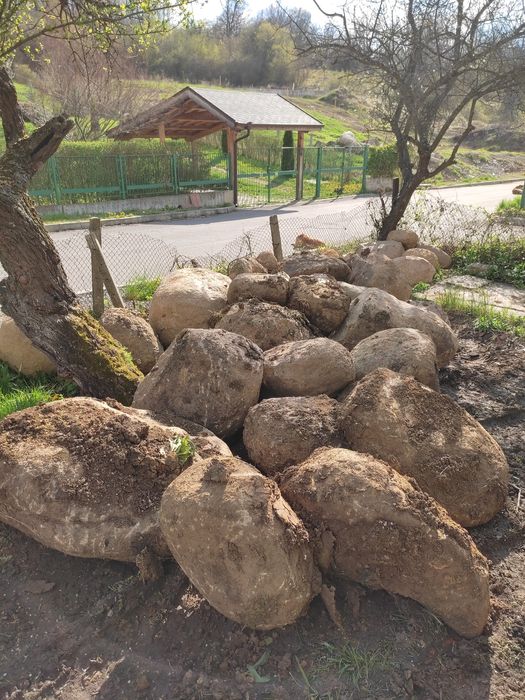 Камъни (Витошки морени)