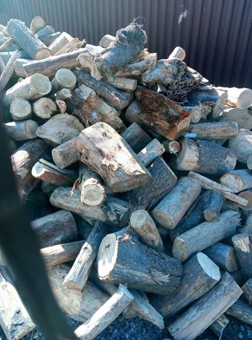 Продам дрова сухой карагач