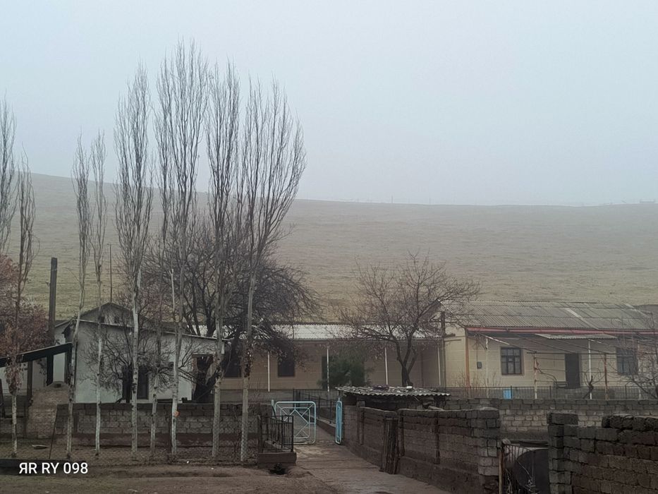 Tayor uy joy va chorva mollari uchun ham tayor hojalik