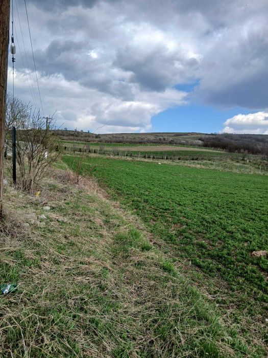 Vând doua parcele de teren