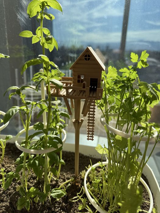 Къщичка на дърво за цвете / Декорация за цветя