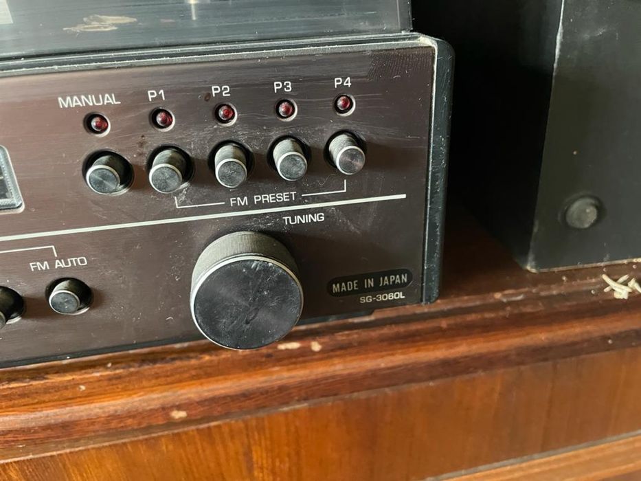 Pickup Panasonic SG 3060L