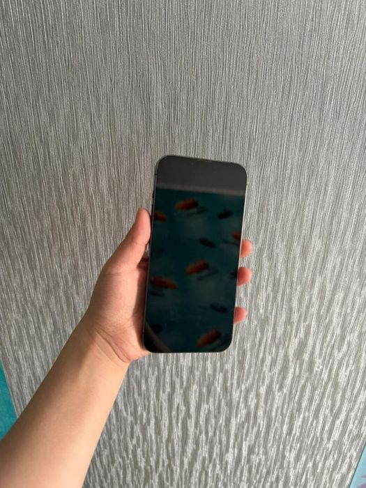 Iphone 13 про макс 256 гб