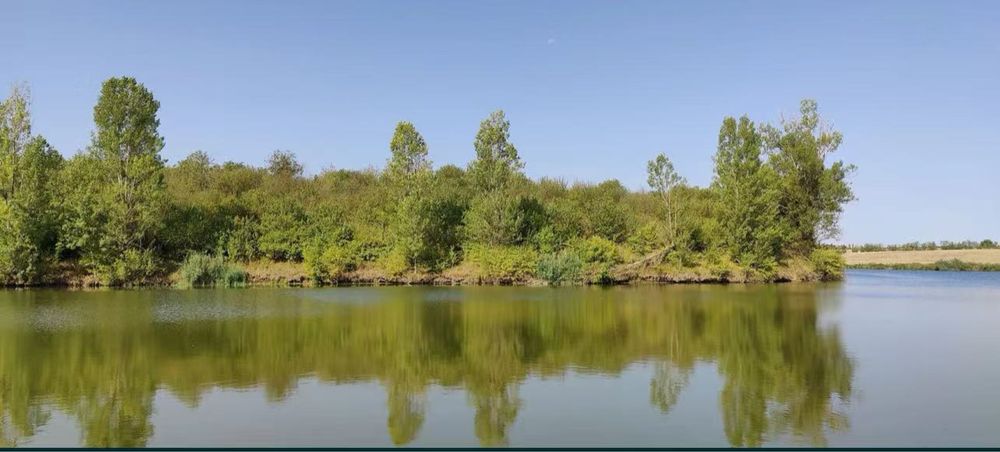 Teren de vanzare Ganeaza 700 Mp