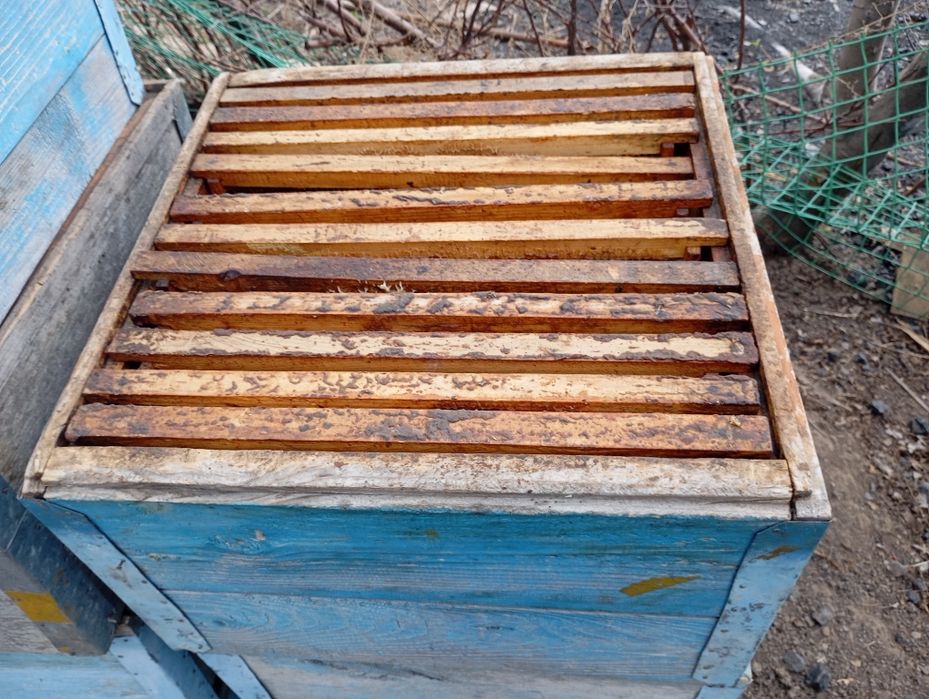 Рамки для улей пустые и с сотами