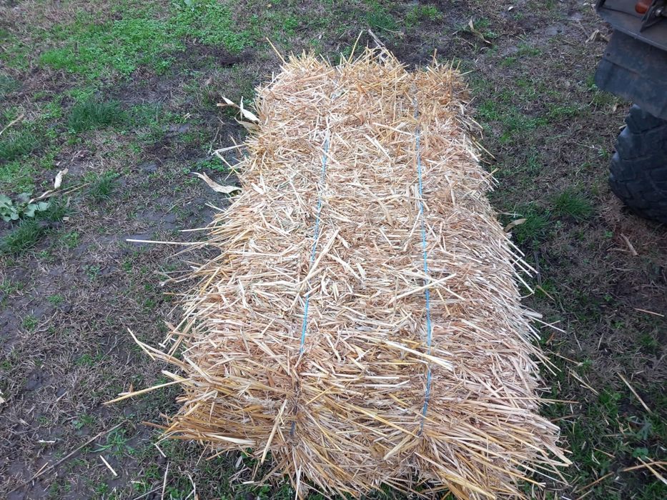 Baloti de fan de vanzare